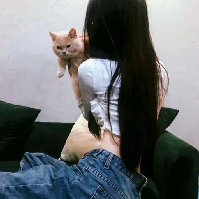 美猴王之真假孙悟空