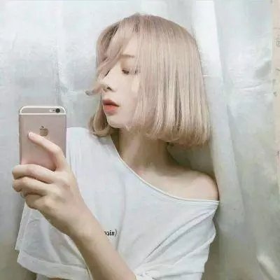 网中的太阳