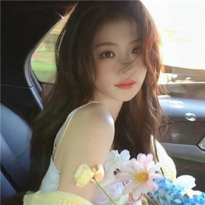 白鸥啊 不要飞起来